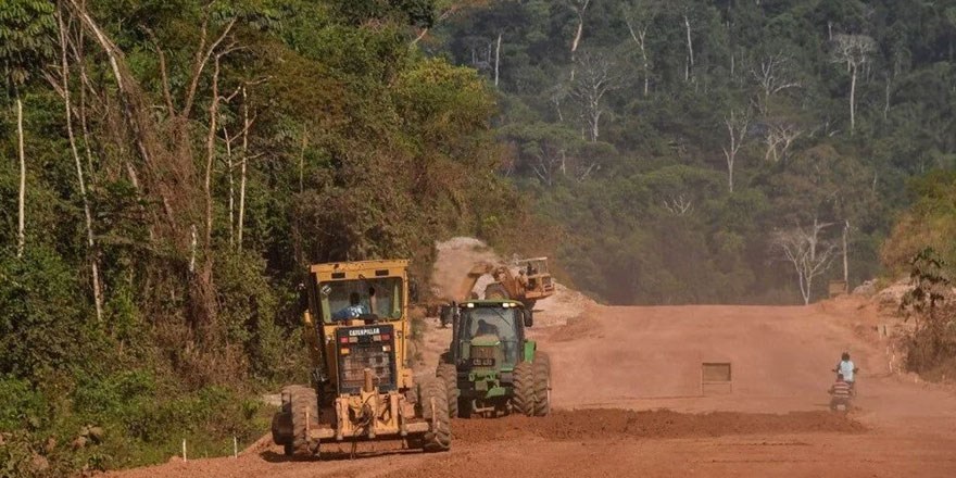 Amazonlar, madencilik ve ormansızlaştırma planları nedeniyle tehlike altında