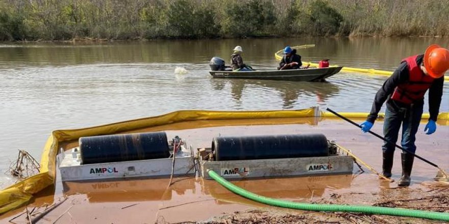 Boru hattından yakıt sızdı binlerce hayvan öldü