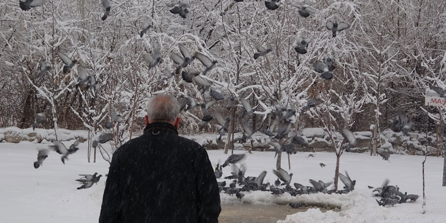 Her yıl kuşlar aç kalmasın diye 3 ton yem alıyor: Sadece Allah rızası için yapıyorum