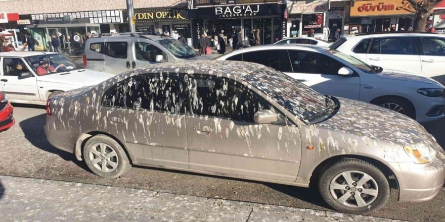 Erzincan'da karga istilası