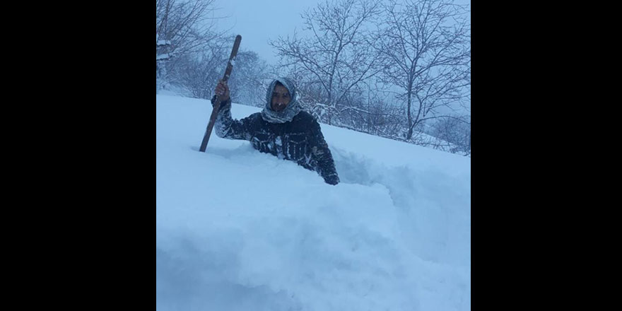 Elazığ'da kar kalınlığı insan boyuna yaklaştı