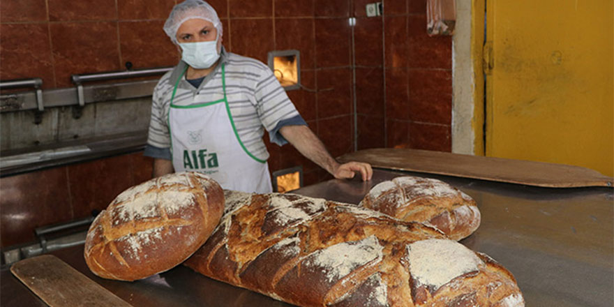15 kiloluk balina ekmek görenleri şaşırtıyor