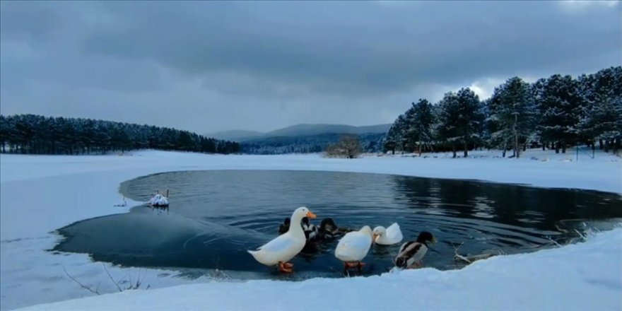 Yaratılış harikası Akdağ kış güzelliği ile hayran bırakıyor