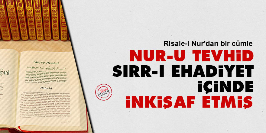 Risale-i Nur'dan bir cümle: Nur-u tevhid, sırr-ı ehadiyet içinde inkişaf etmiş