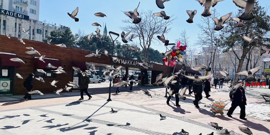 Isparta'da hayat normale döndü