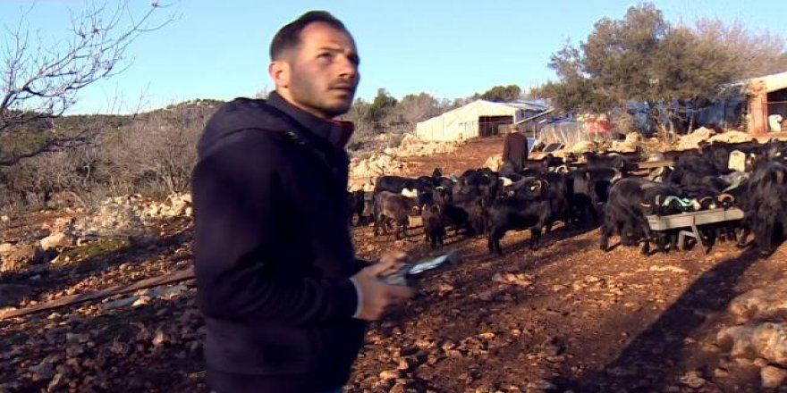 Çobanlığı teknolojiyle birleştirdi: Kaçan hayvanlarını dronla buluyor