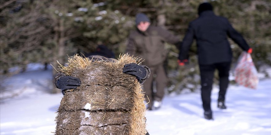 Yabani hayvanlar için son 2 ayda 1400 ton yem bırakıldı
