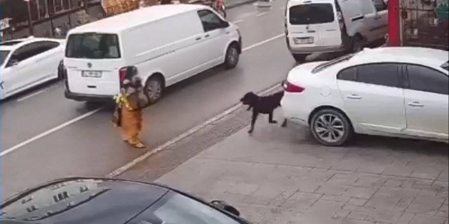 Sokak köpeğinden kaçarken otomobilin çarptığı genç kız hayatını kaybetti