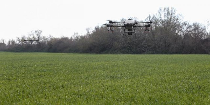 Türkiye'de bir ilk: Antalya'da dronla gübreleme yapıldı