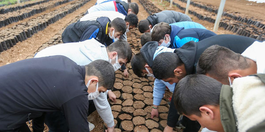 Gaziantep'teki tedavi gören madde bağımlısı gençler fidan dikti