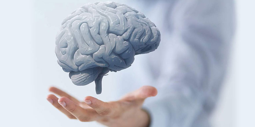 Harvard Üniversitesi'nden beyin sağlığı için şifalı besin önerileri