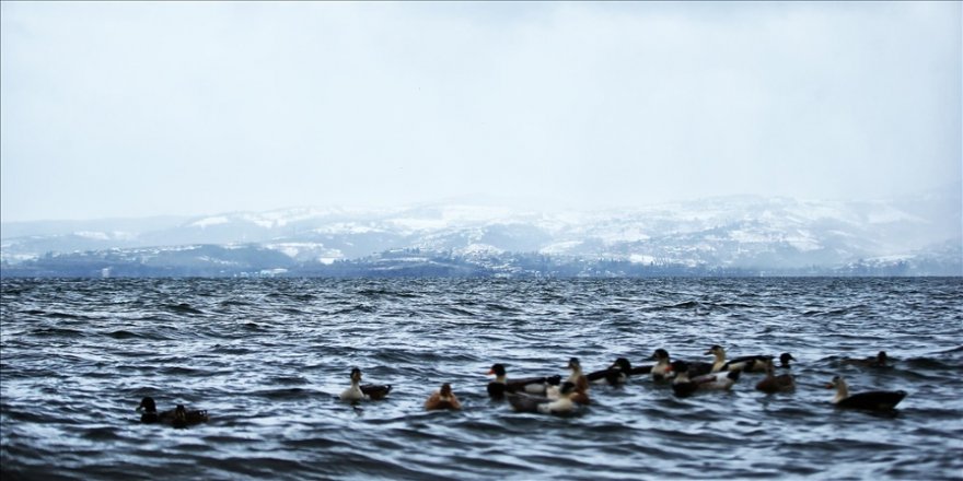 Sapanca Gölü'nde su seviyesi son 7 yılın zirvesine ulaştı