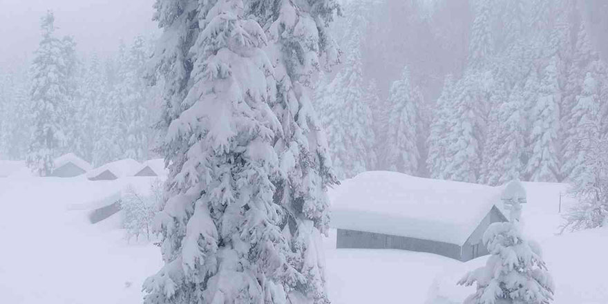 Düzce'nin yüksek kesimlerinde kar kalınlığı 3 metreyi geçti