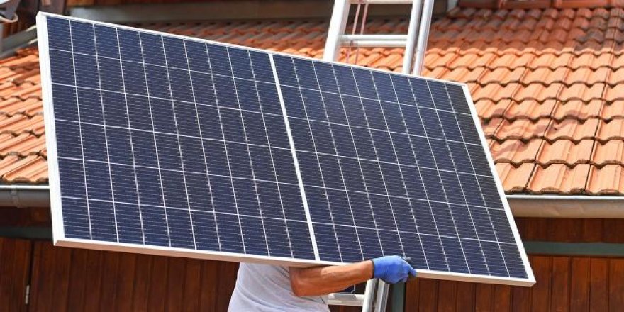 Tek güneş paneli 50 ağaç kadar karbon emisyonunu azaltıyor