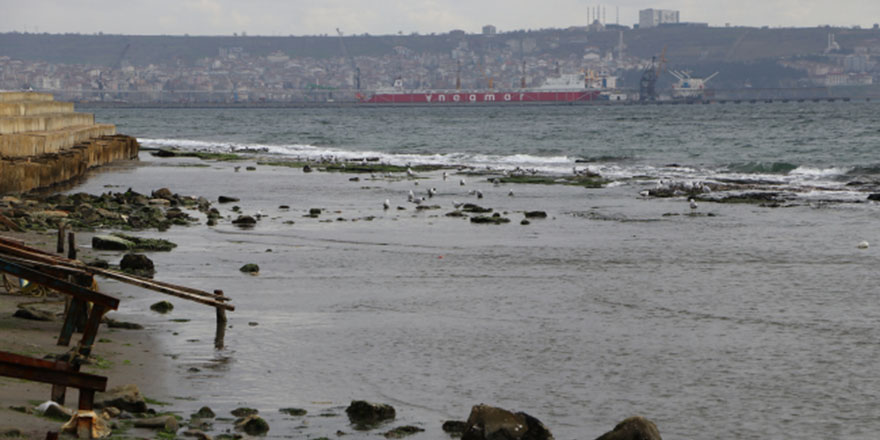 Tekirdağ'da deniz suyu çekildi