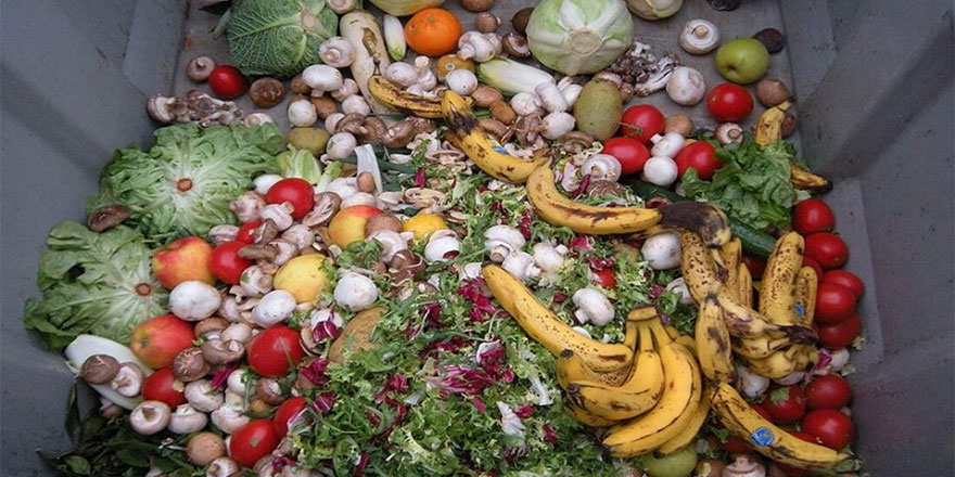 Dünyada her yıl 1,3 milyar ton gıda çöp oluyor