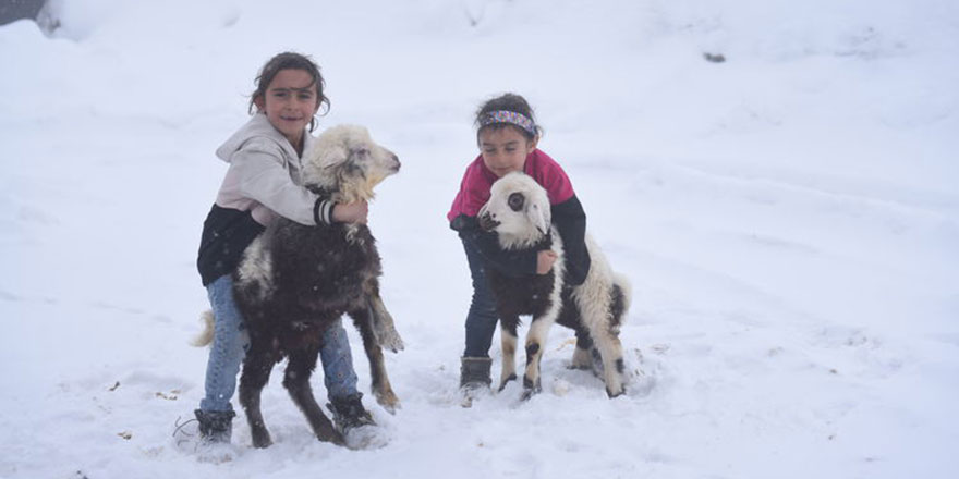 Zorlu kışın ardından doğan oğlak ve kuzular besicileri sevindirdi