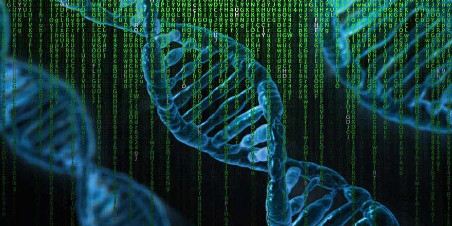 İnsanın gen haritası tamamen çıkarıldı: Çok hastalığa çare olabilir