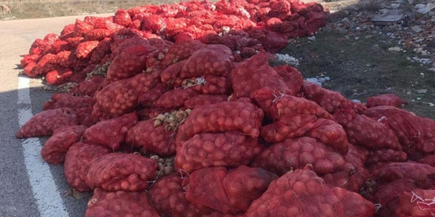 Ankara'da çuval çuval soğan yol kenarına atıldı