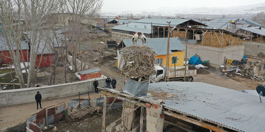 Leylekler yuva yapınca tandır bacasındaki tadilat sonbahara kaldı