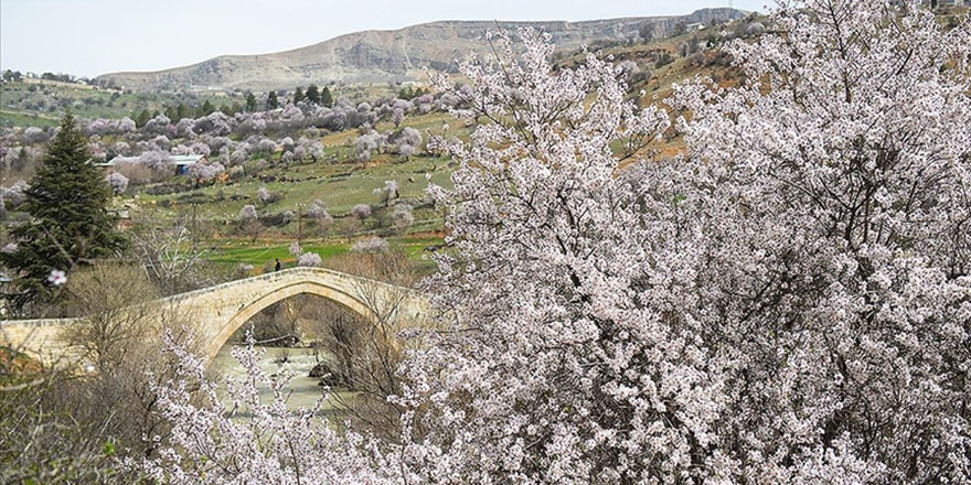 Çemişgezek'te ilkbahar güzelliği