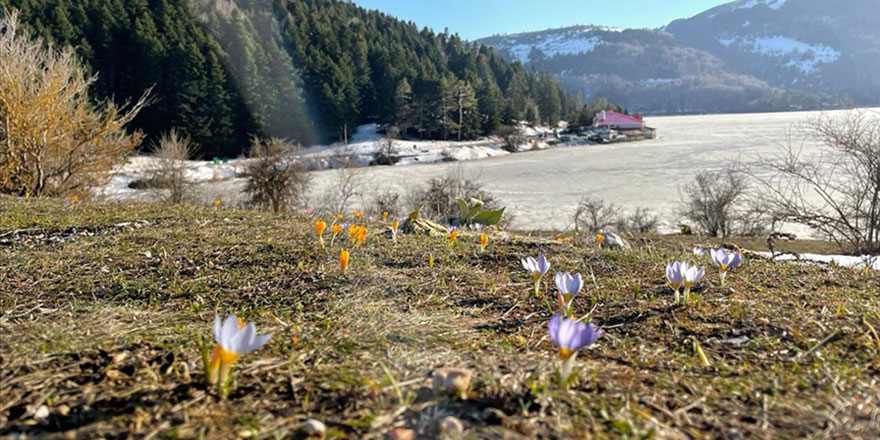 Abant'ta kış ve ilkbahar bir arada yaşanıyor