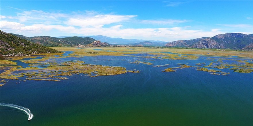 Korunan alanları birbirine bağlayacak ekolojik koridorlar haritalandırılacak