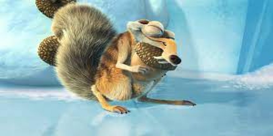 Buz Devri sona erdi sincap sonunda meşe palamudunu yakaladı