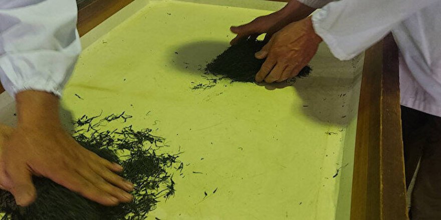 Dünyanın en pahalı çayı: Kilosu 226 bin liraya satıldı