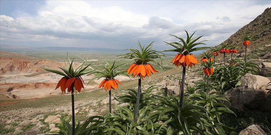 1800 rakıma 'ağlayan gelin' yolculuğu