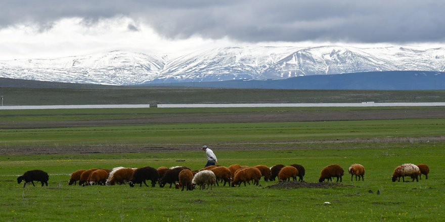 Kars’ın yüksek kesimleri beyaz rahmetle kaplandı