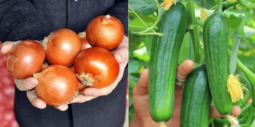 Nisanda fiyatı en fazla artan ve düşen ürünler