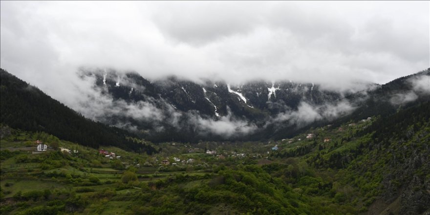 Beyaz örtüyle kaplanan Limni Gölü Tabiat Parkı ziyaretçi akınına uğradı