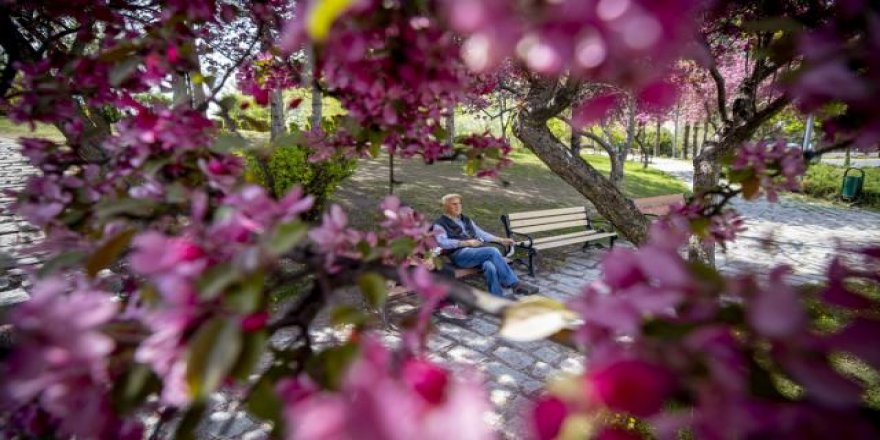 Yeni haftada hava nasıl olacak?