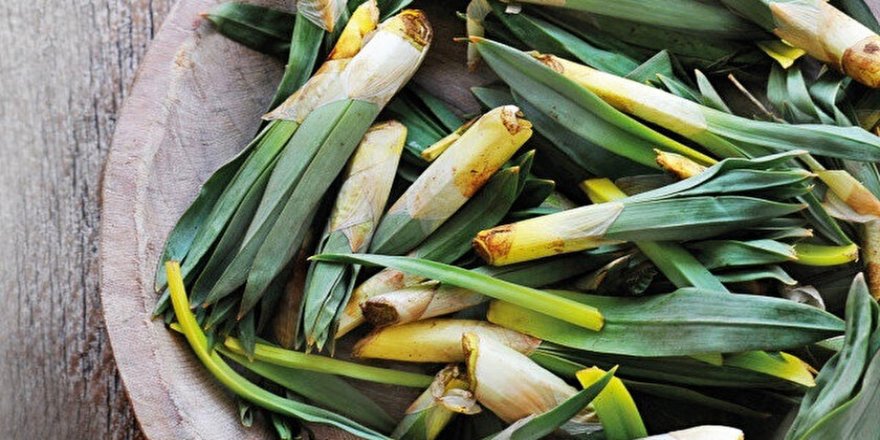 Bahar soframızda açsın