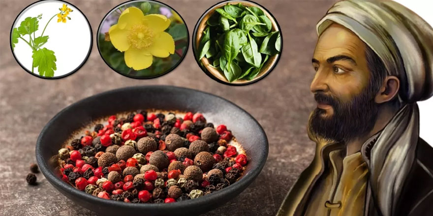 İbn-i Sina'nın tavsiyesi: Vücudu tertemiz yapan 10 bitki