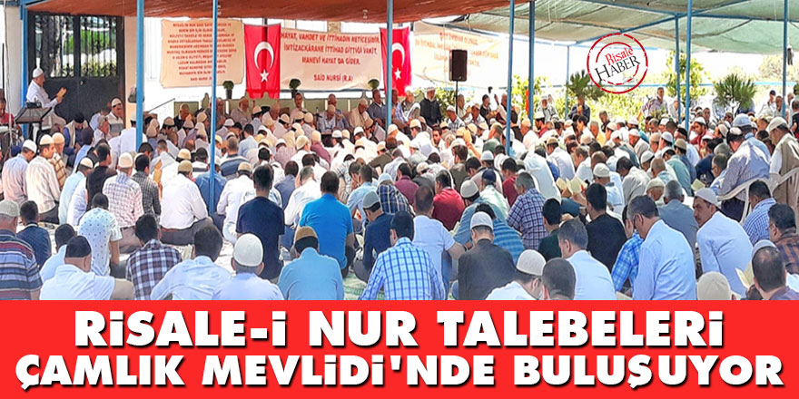 Risale-i Nur talebeleri Çamlık Mevlidi'nde buluşuyor