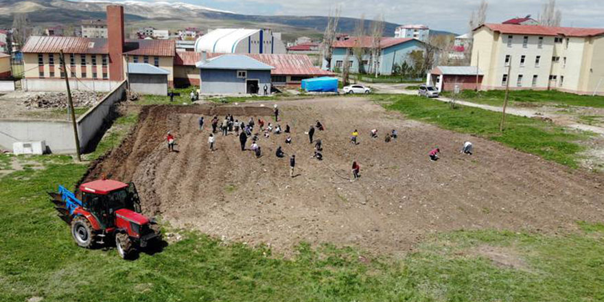 Öğrencilere tarımı öğretmek için Ağrı'da okul arazileri bostana dönüştürülüyor