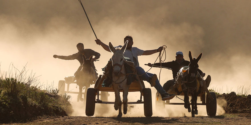 Van'da 'eşek arabası yarışları' yapıldı