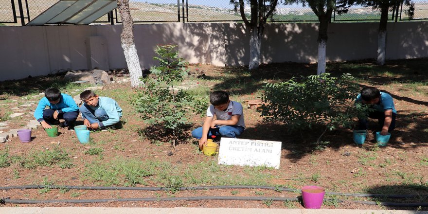 Tabiat ve hayvan sevgisini uygulamalı öğreten okul enerjisini de güneşten alıyor