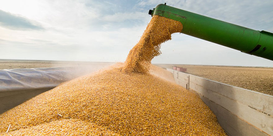 Tahıl koridorunda ilk gemiyle fiyatlardaki düşüş hızlandı