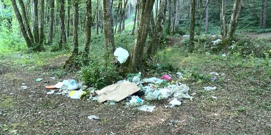 Ormanda piknik yapıp çöplerini geride bırakıyorlar