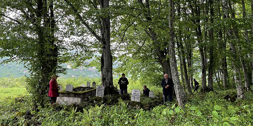 Yemen gazisinin mezarında büyüyen ağaca torunları bakıyor