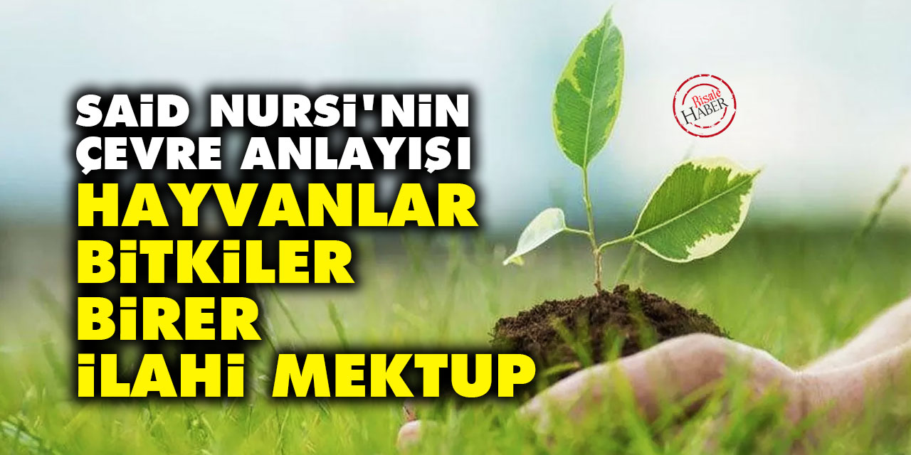 Said Nursi'nin çevre anlayışı: Hayvanlar, bitkiler birer ilahi mektup