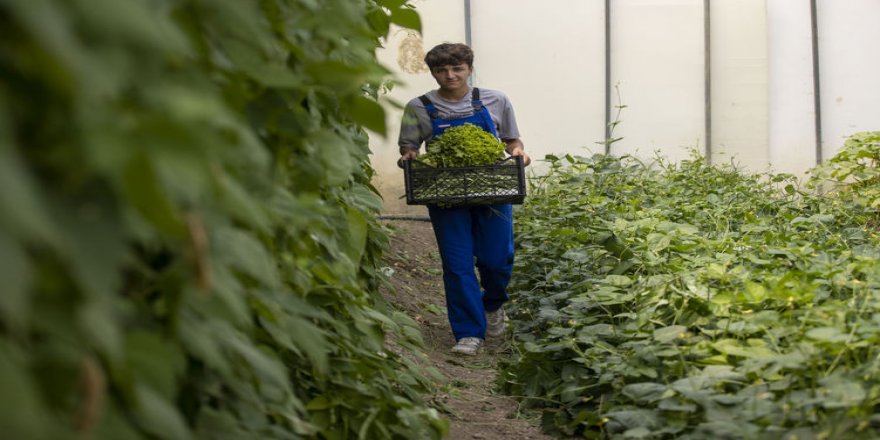 Öğrenciler istihdam garantili lisede mezun olmadan iş teklifi alıyor