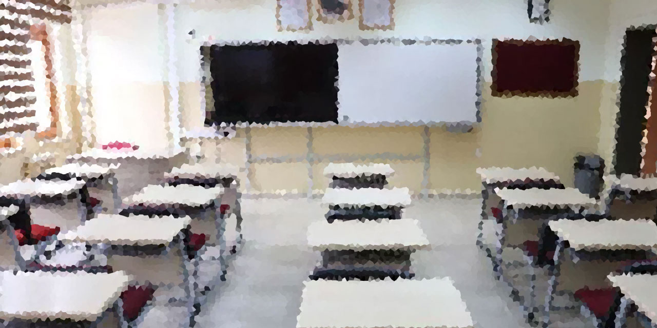 'Resmen' edepsizlik: İlkokulda dansöz oynattılar