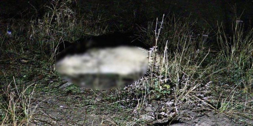 Sahiplerini ailesi olarak görüyor