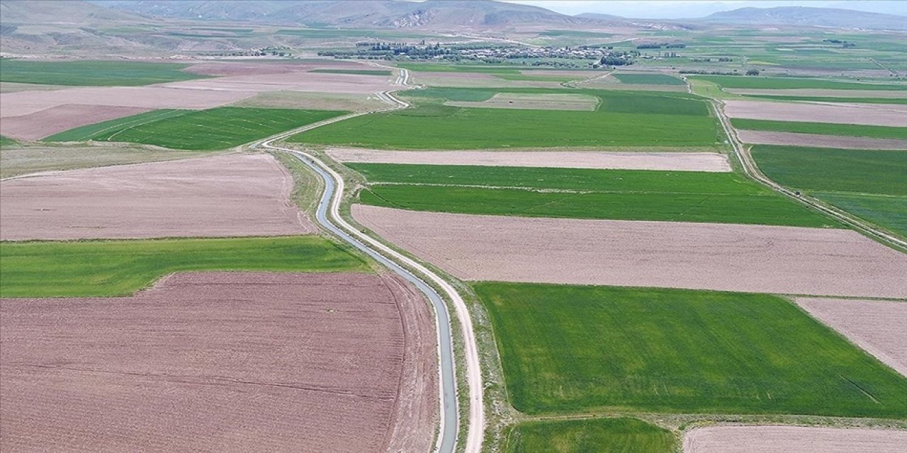 Devlet boş tarlayı kiraya verecek
