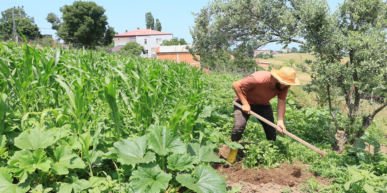 Doğal yaşam için kırsal mahalleye taşınan öğretmen organik tarım yapıyor