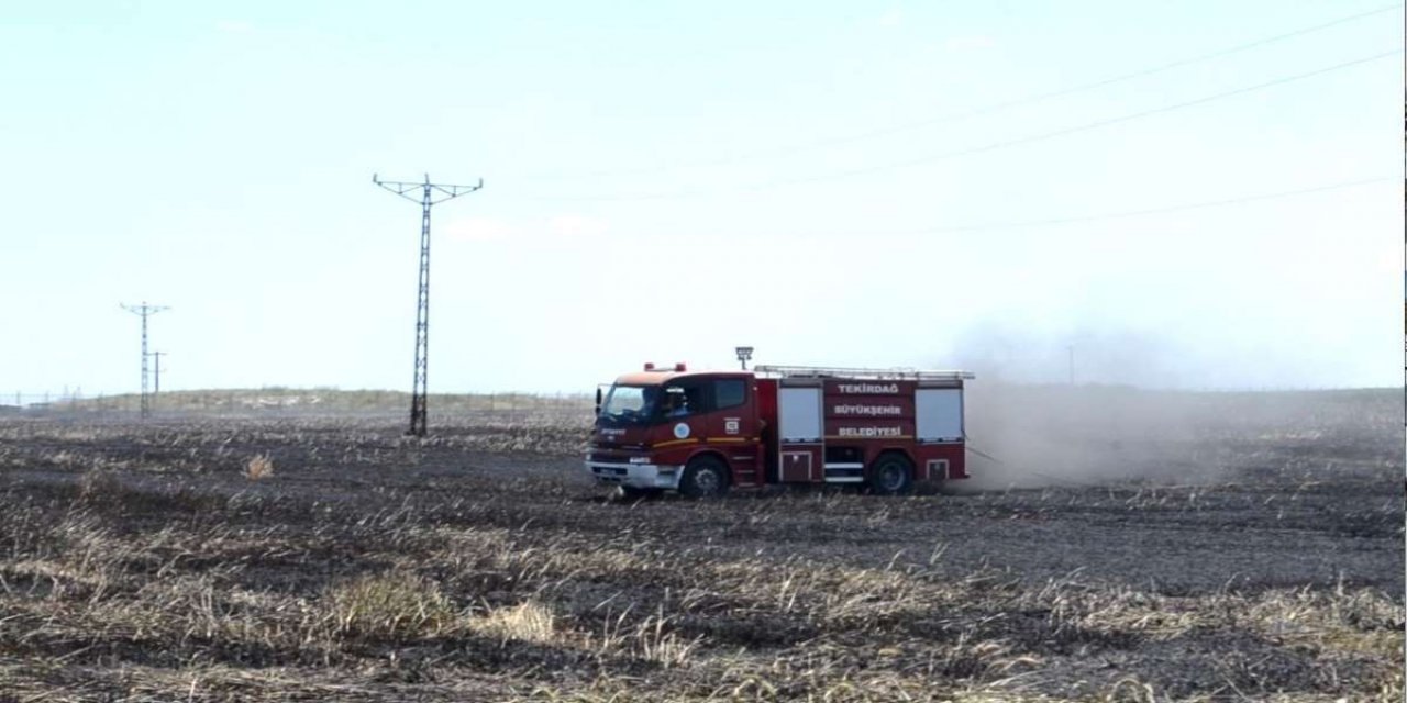Sigara izmariti 50 dönümlük tarlayı küle çevirdi